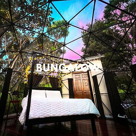 Hotel San Vicente Hideaway Quesada  Экстерьер фото